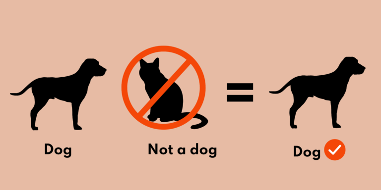 An illustration showing how machine learning: By feeding the algorithm with labeled images of dogs and cats, the machine spots patterns and features that help distinguish cats from dogs in the future even if the images are no longer labeled. 